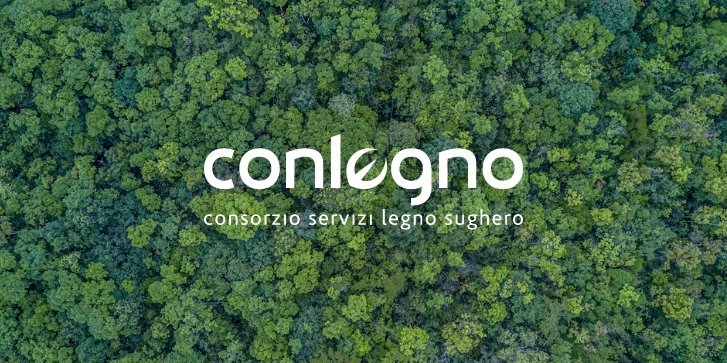 brandsAndServices_services